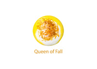 Organic Assorted Bath Bombs – 8 Pack